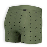 A - dam - Boxershort 'Light Green Dino' - Loostermans - A - dam